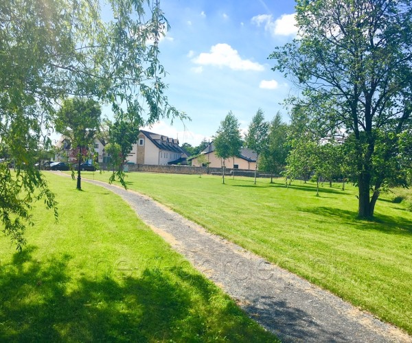 Park - Kamień Śląski