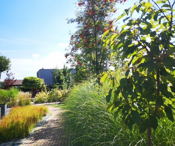 BetaMed Chorzów - Park