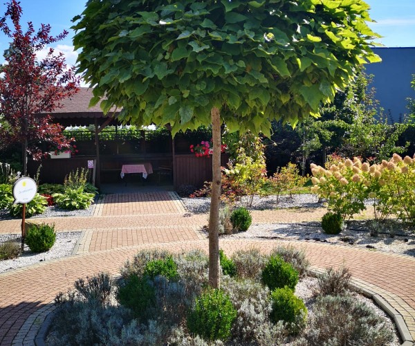 BetaMed Chorzów - Park