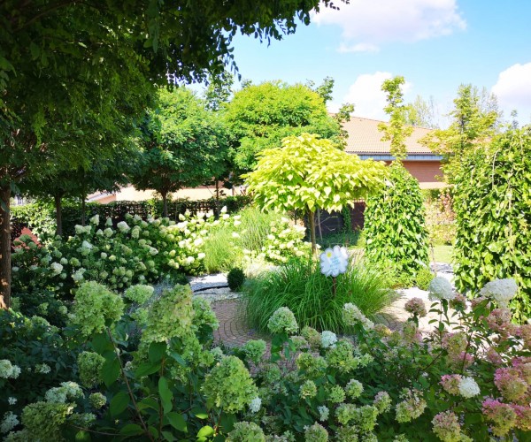 BetaMed Chorzów - Park