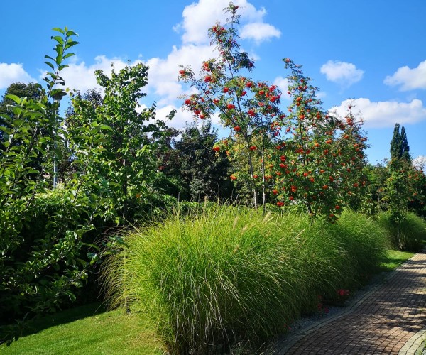 BetaMed Chorzów - Park