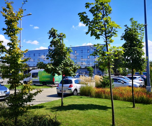 BetaMed Chorzów - Park