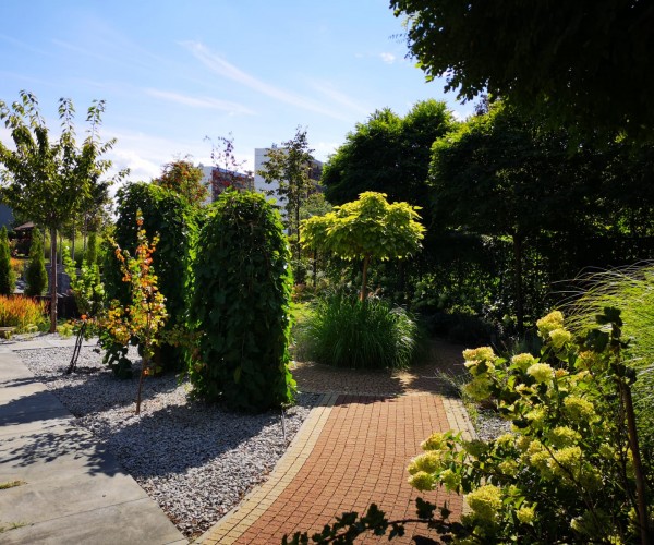 BetaMed Chorzów - Park