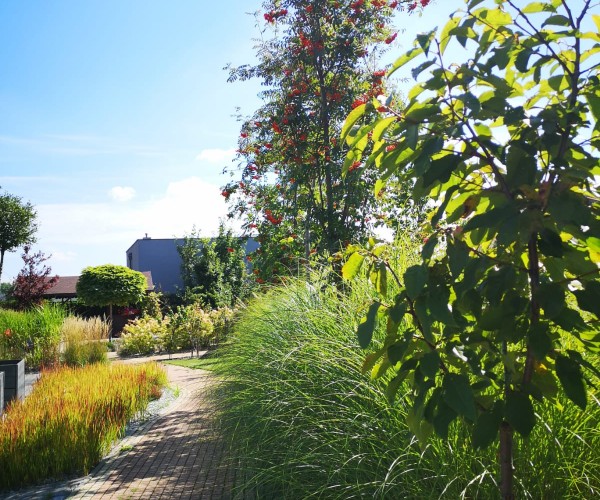 BetaMed Chorzów - Park