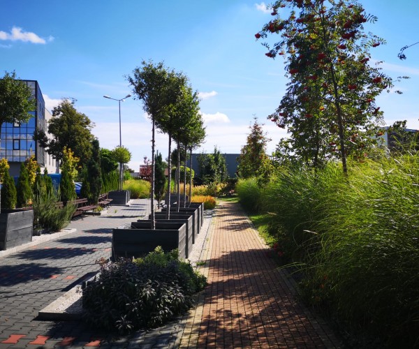 BetaMed Chorzów - Park