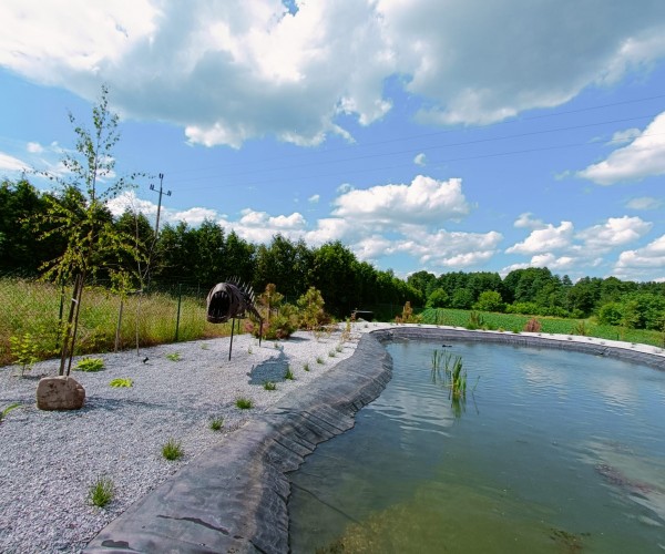 Staw Wodzislaw Śląski