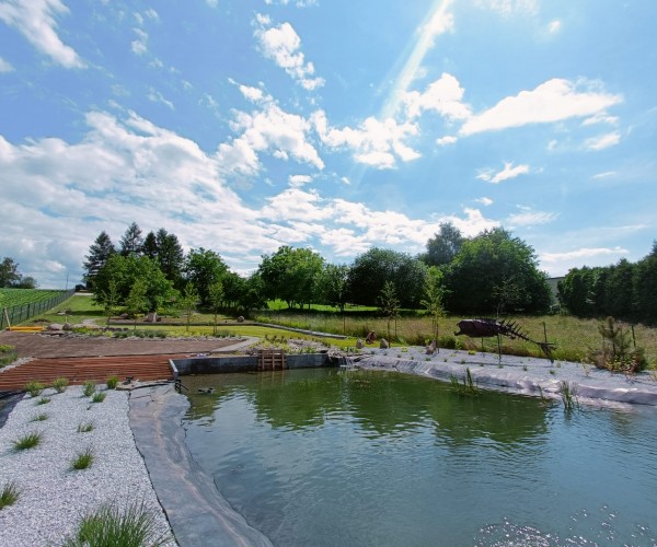 Staw Wodzislaw Śląski