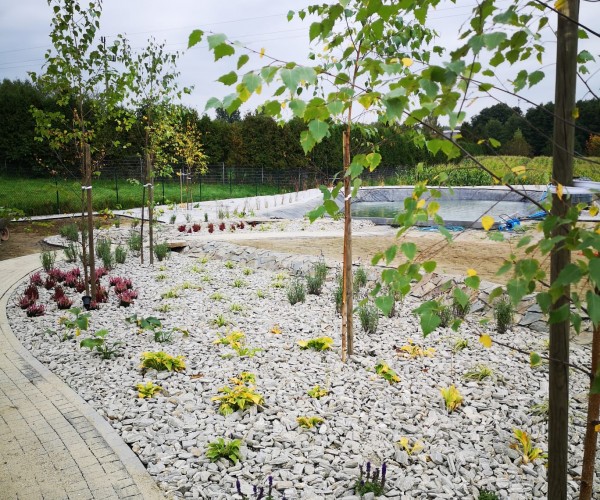 Staw Wodzislaw Śląski