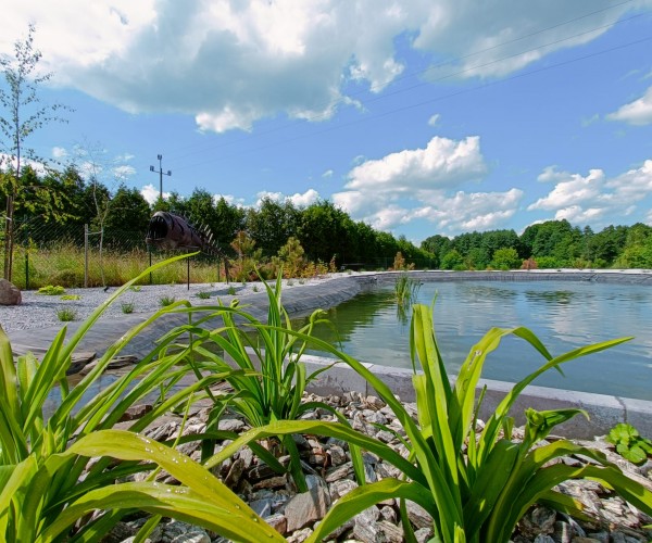 Staw Wodzislaw Śląski