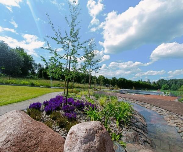 Staw Wodzislaw Śląski