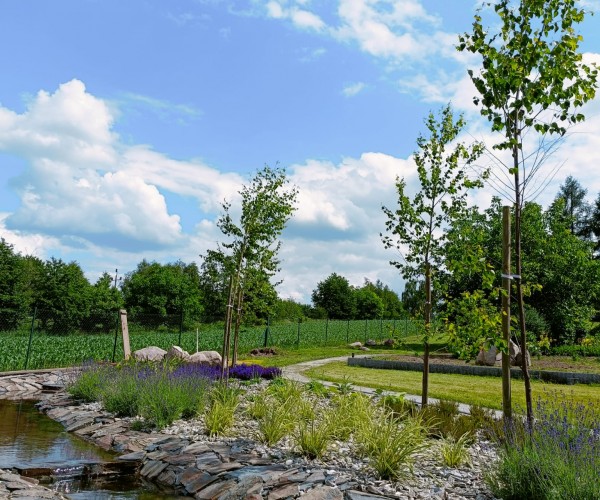 Staw Wodzislaw Śląski