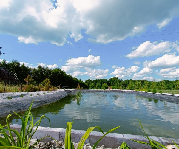 Staw Wodzislaw Śląski