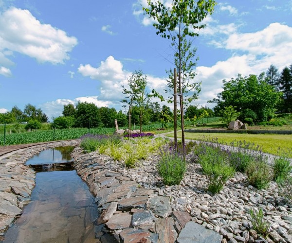 Staw Wodzislaw Śląski