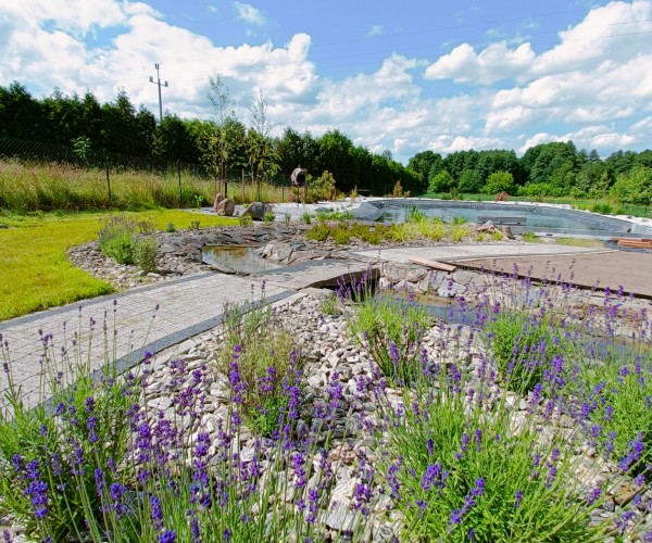 Staw Wodzislaw Śląski